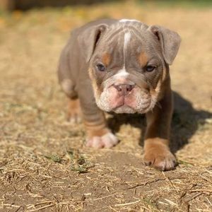 Meet your Posher, Alejandra